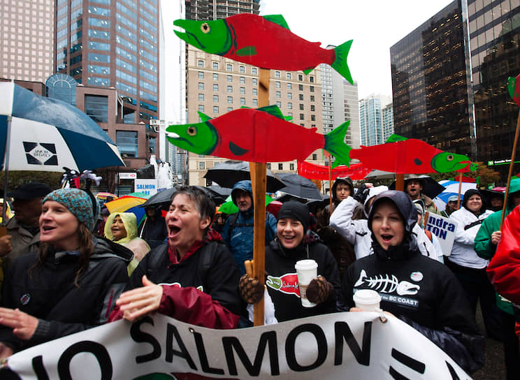 Демонстрация протеста против аквакультуры лосося в Ванкувере