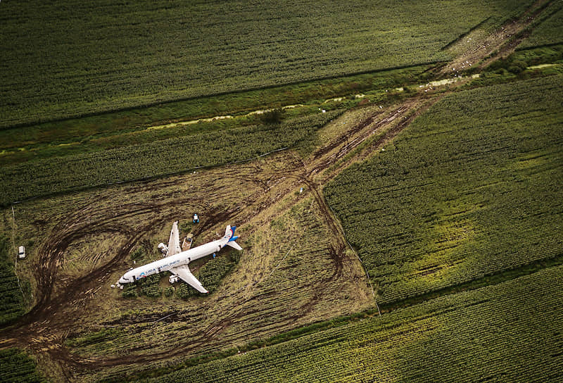 Московская область, Россия. Место аварийной посадки самолета Airbus A321 в кукурузном поле