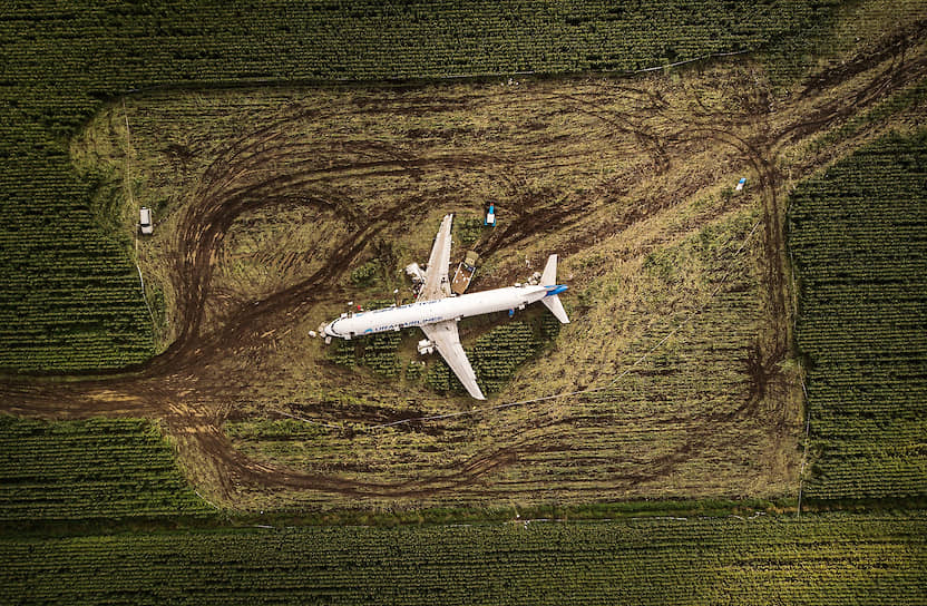 18 августа, Московская область. Место аварийной посадки самолета Airbus A321 авиакомпании «Уральские авиалинии» в кукурузном поле 