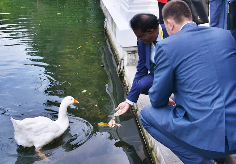 Президент Маврикия Барлен Вьяпури кормит птиц на пруду в парке «Южные культуры» в Сочи 