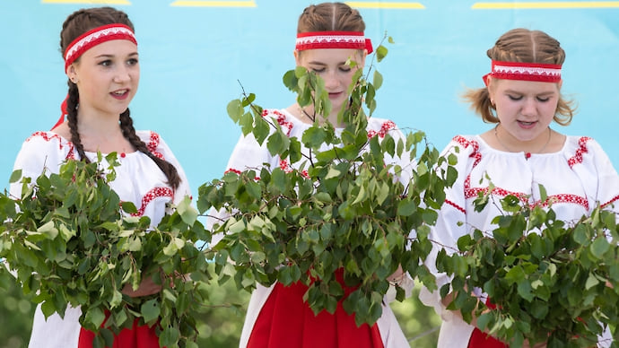Разглядели за деревьями вепсов