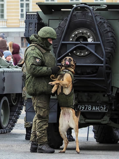 Санкт-Петербург. Выставка исторической и военной техники на Дворцовой площади в честь 76-й годовщины полного освобождения Ленинграда от блокады