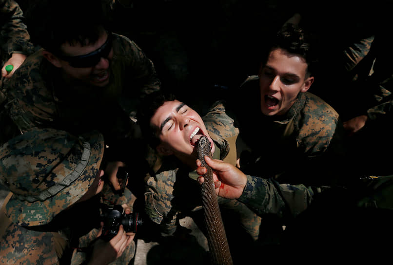 Чонбури, Таиланд. Солдат пьет змеиную кровь во время учений