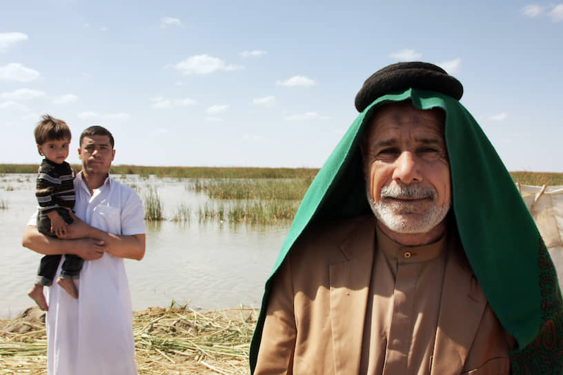 Месопотамские болота — колыбель шумерской, а от нее и нашей с вами цивилизации 