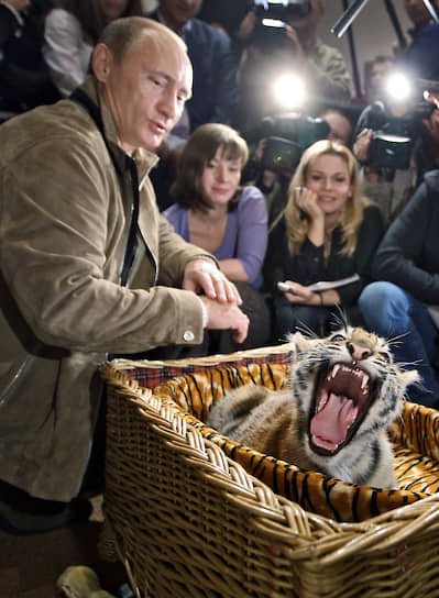 10 октября 2008 года. Владимир Путин получил в подарок на день рождения уссурийскую тигрицу
