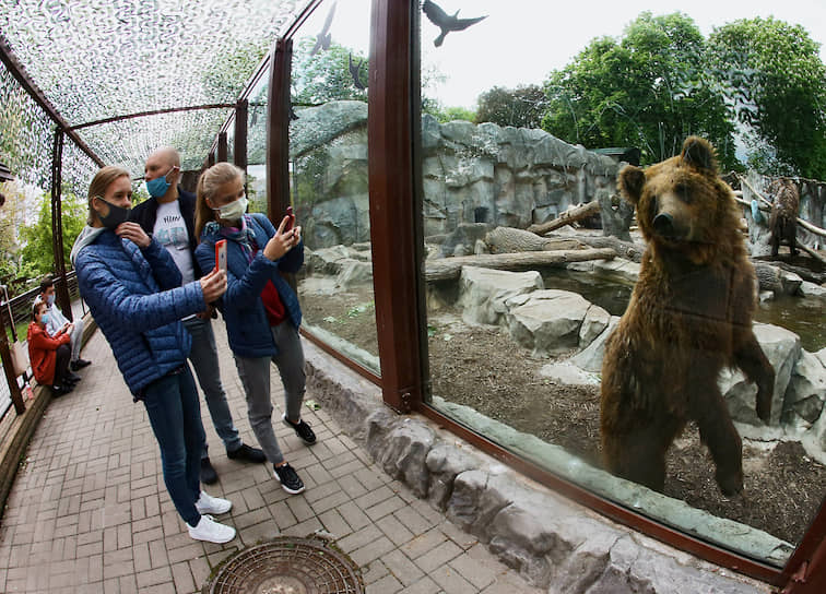 Киев, Украина. Посетители зоопарка у вольера с медведем 
