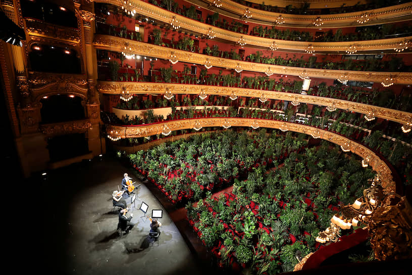Барселона, Испания. Горшки с растениями на зрительских местах во время репетиции концерта
