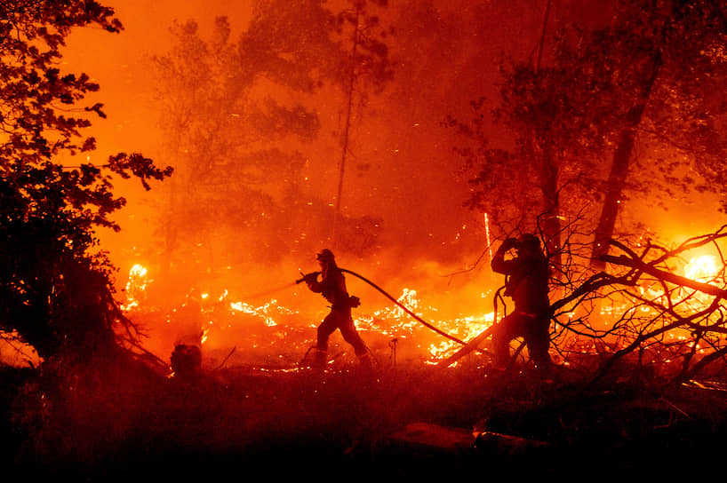 Мадера, штат Калифорния, США. Тушение лесного пожара 