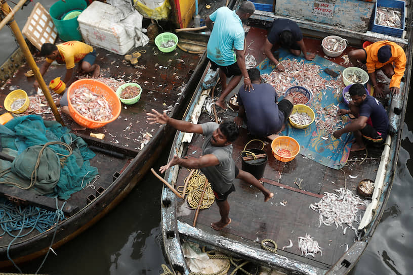 Мумбаи,Индия. Рыбак перекидывает на рынок корзину с рыбой 