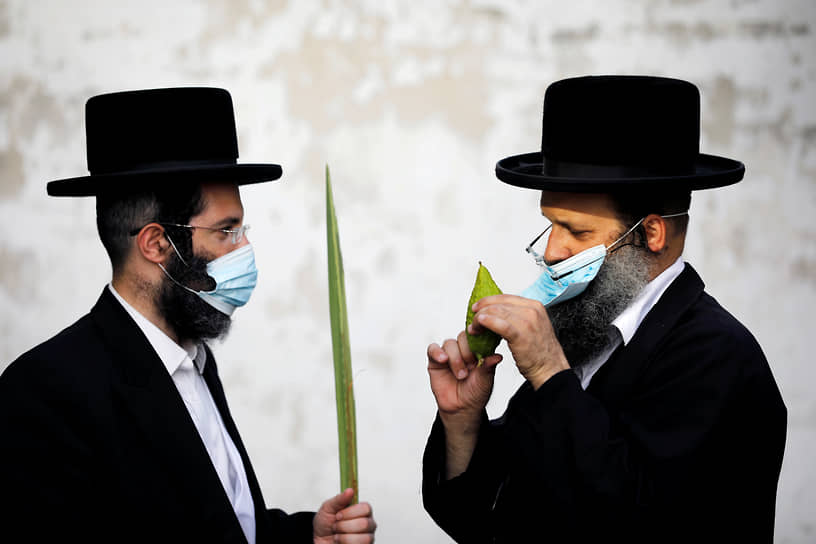 Ашдод, Израиль. Ультраортодоксальные евреи готовят цитрон и пальмовый лист для ритуала на праздник Суккот 