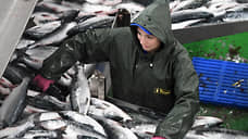 Китай режет российскую рыбу