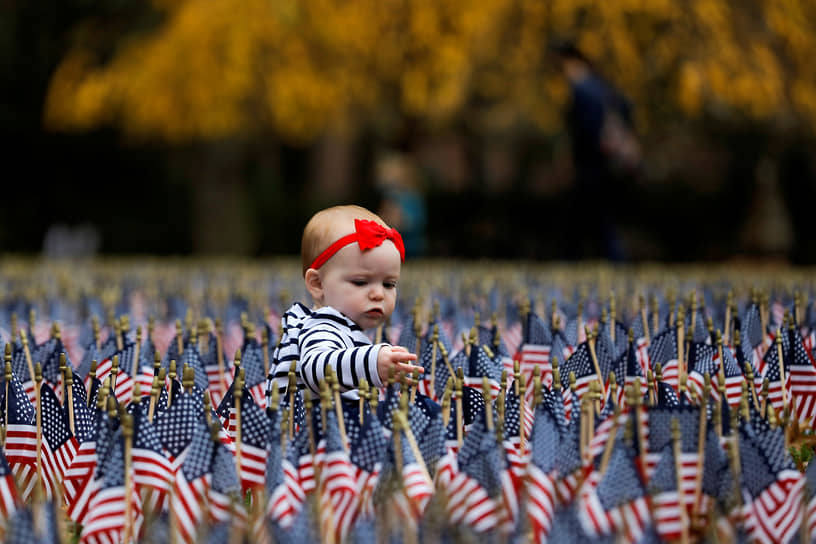 Нью-Йорк, США. Ребенок на поле, украшенном национальными флажками ко Дню ветеранов 