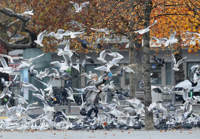 Цюрих, Швейцария. Женщина кормит птиц на площади