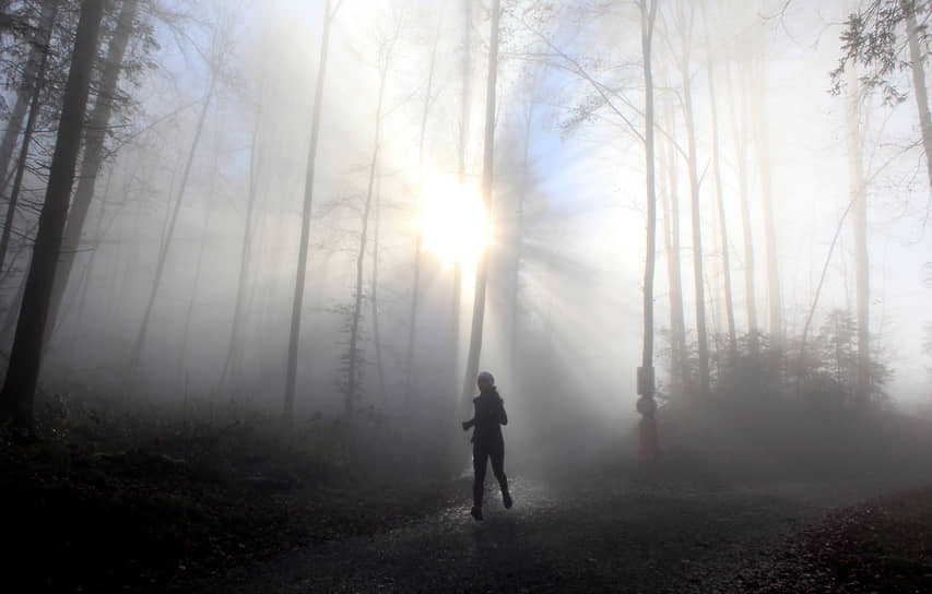 Цюрих, Швейцария. Женщина на пробежке в туманном лесу 