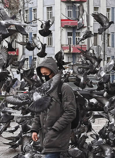 Мужчина в медицинской маске и стая голубей в Москве