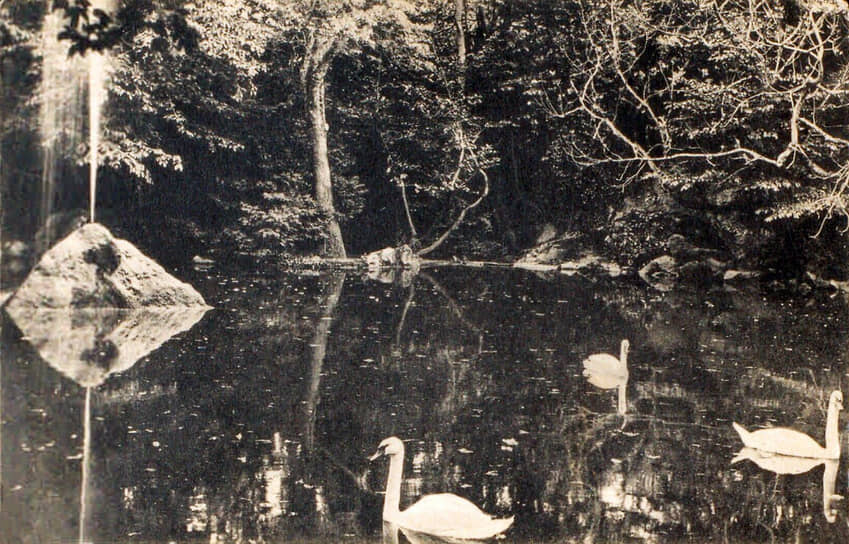 «Алупка окружена парками и утопает в садах» (на фото — пруд с фонтаном в парке дворца в Алупке, 1904 год)