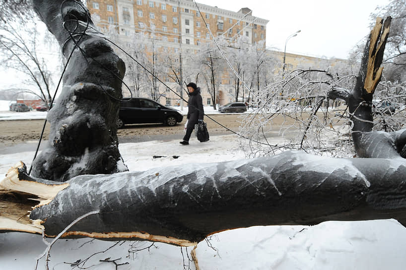 В конце декабря 2010 года власти Москвы выделили около 90 млн руб. на вывоз из городских парков аварийных и поврежденных во время ледяного дождя деревьев
