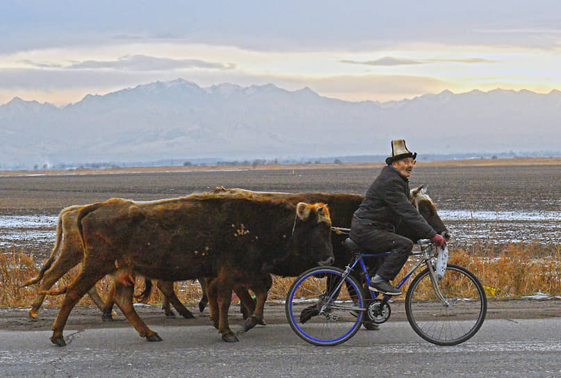 Киргизия. Пастух едет на велосипеде в районе границы с Казахстаном