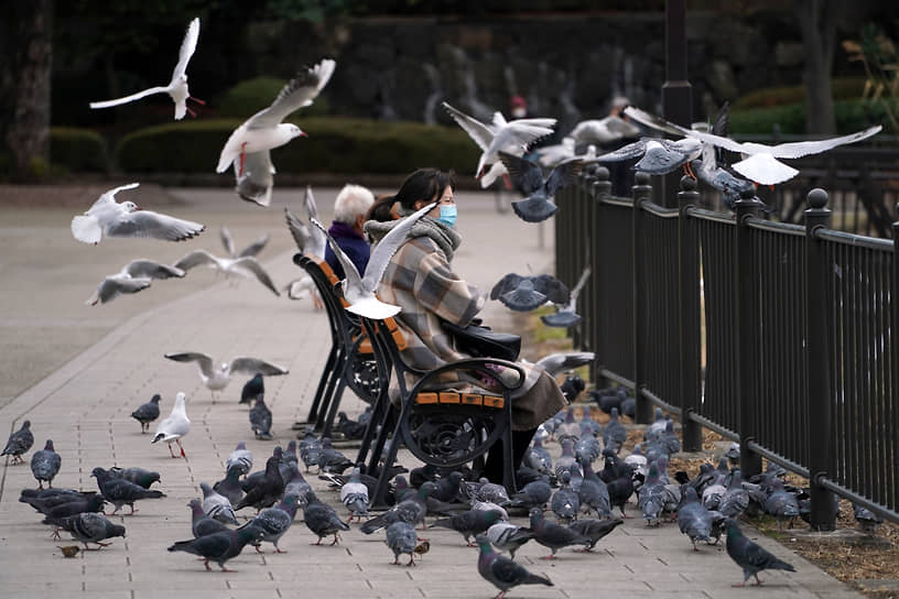 Токио, Япония. Голуби и чайки летают рядом с отдыхающими в парке