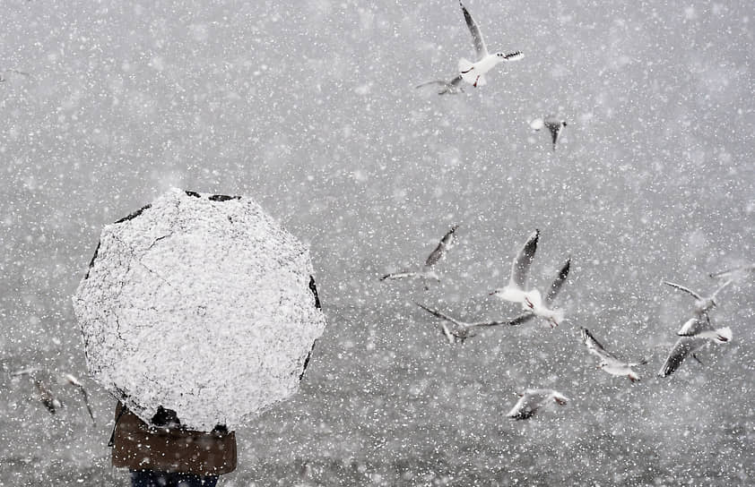 16 января. Республика Крым. Аномальный снегопад 