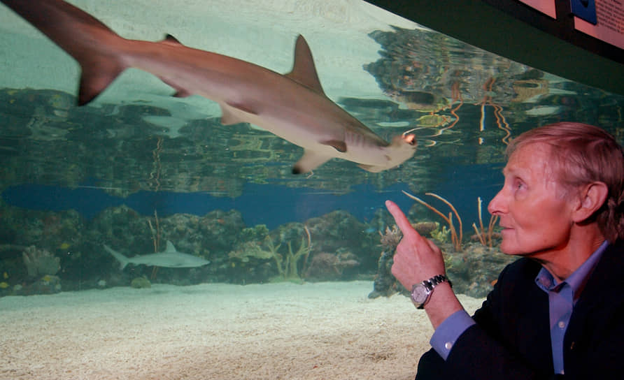 Питер Бенчли, автор книги «Челюсти», экранизация которой положила начало жанру фильмов-ужасов про акул. За стеклом — бронзовая акула-молот, вид находится на грани исчезновения