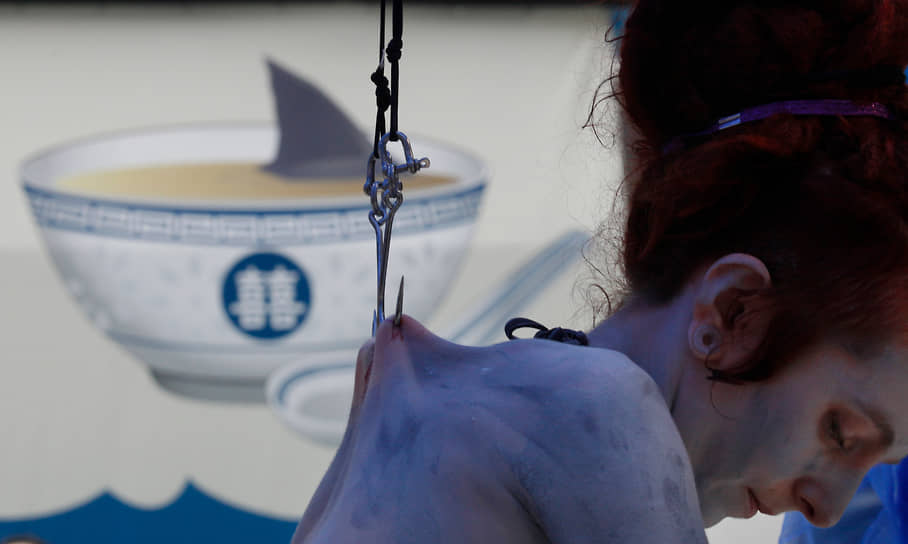 Перформанс британской художницы Элис Ньюстед. Она подвесила себя на рыболовных крючках, протестуя против уничтожения акул