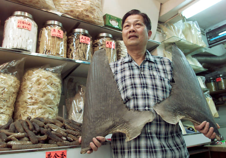 Рыночная цена плавника акулы зависит от его толщины, высоты, типа плавника, вида акулы. Особенно высоко ценятся хвостовой и два спинных плавника тигровой акулы