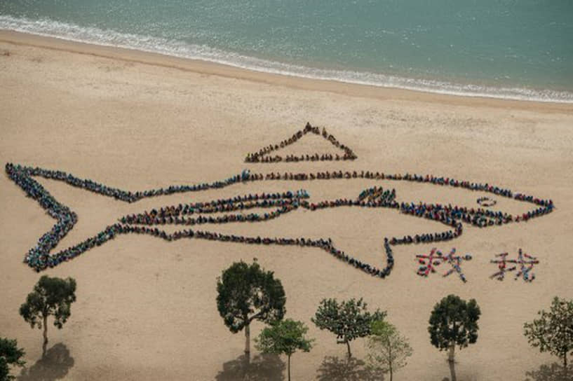 Детский день океана в Гонконге, 2013 год. Дети выстроились на пляже, образуя силуэт акулы с отрезанным плавником