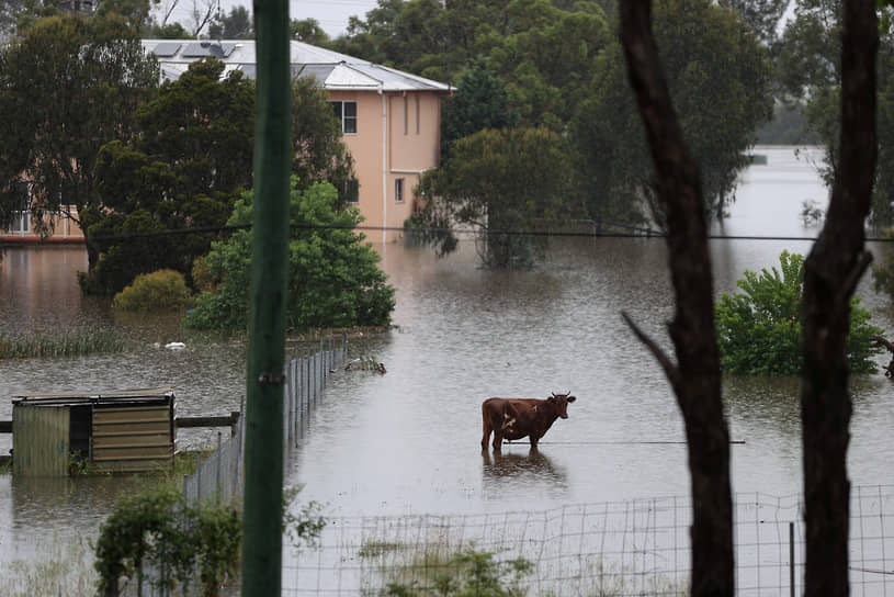 Виндзор, Австралия. Последствия наводнения в штате Новый Южный Уэльс