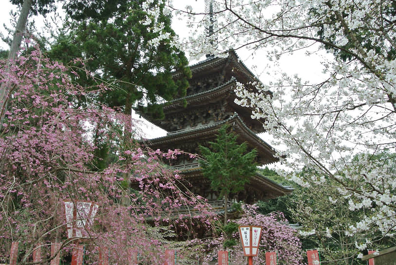 Храм Дайго-дзи в Киото стремится в небо