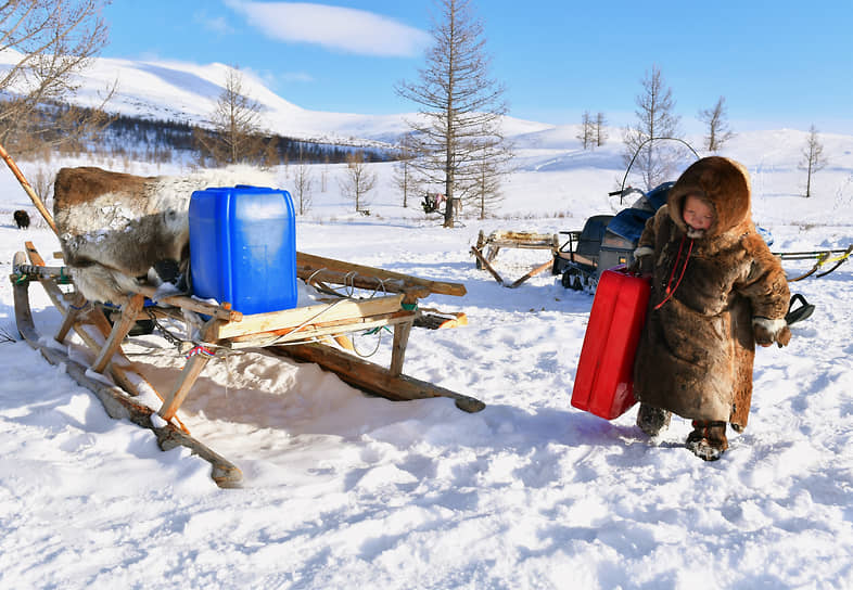 Запряженные оленями нарты являются традиционным транспортным средством на Полярном Урале, но в последние десятилетия здесь стали доступны и снегоходы
