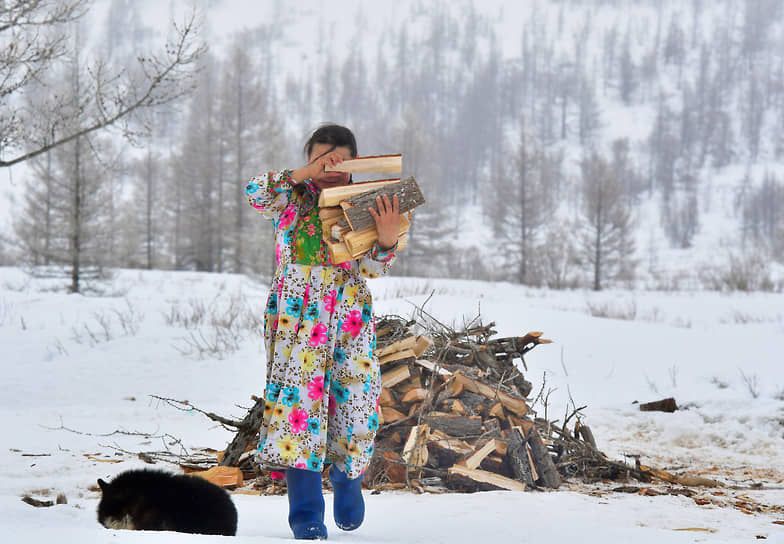Жена оленевода Татьяна Ледкова с охапкой дров