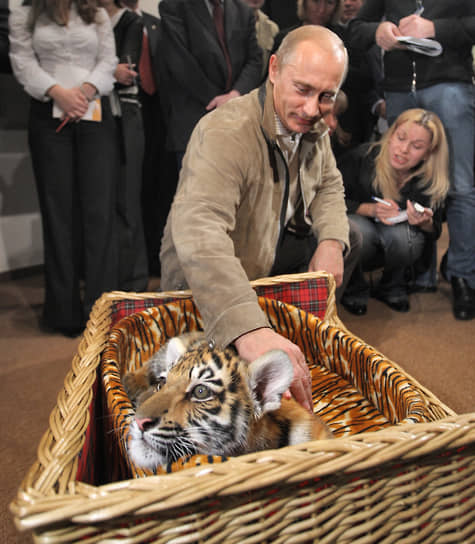 Номера с хищниками, львами или тиграми, в цирке считаются одним из самых опасных&lt;br>
На фото: председатель правительства РФ Владимир Путин, 2008 год