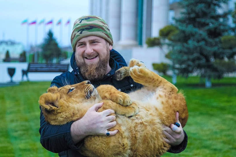 Львы и тигры начинают заниматься с полугодовалого возраста. Они постепенно привыкают к манежу&lt;br>
На фото: глава Чечни Рамзан Кадыров, 2016 год