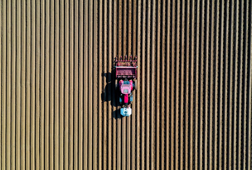 Тиллуа-лес-Камбре, Франция. Фермер едет на тракторе по своему полю