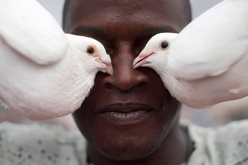 Гавана, Куба. Мужчина позирует с голубями 