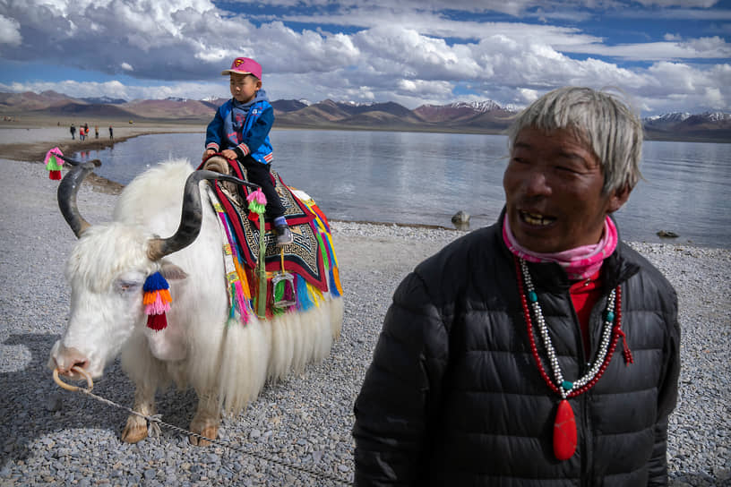 Озеро Намцо, Тибетский автономный район, Китай. Турист позирует для фото на белом яке 