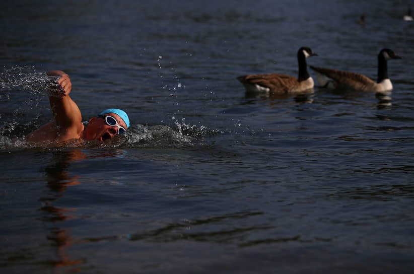 Лондон, Великобритания. Мужчина плывет по озеру в Гайд-парке