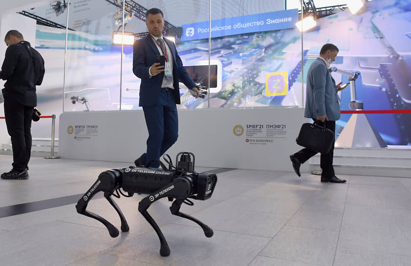 Петербургский международный экономический форум проходит в конгрессно-выставочном центре «Экспофорум»
&lt;br>На фото: робопес, разработанный китайской компанией Unitree Robotics и представленный на ПМЭФ «Эр-Телекомом»