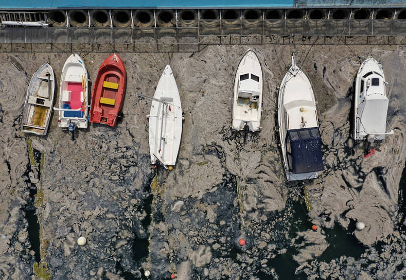 Стамбул, Турция. Лодки на побережье, покрытом морской слизью 