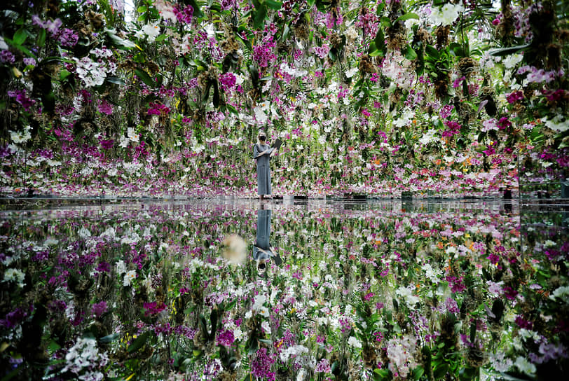 Токио, Япония. Экспериментальный цветочный сад