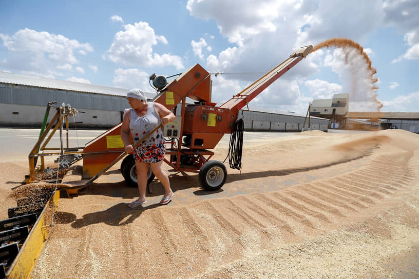 Радуга, Россия. Работница загружает пшеницу в Ставропольском крае