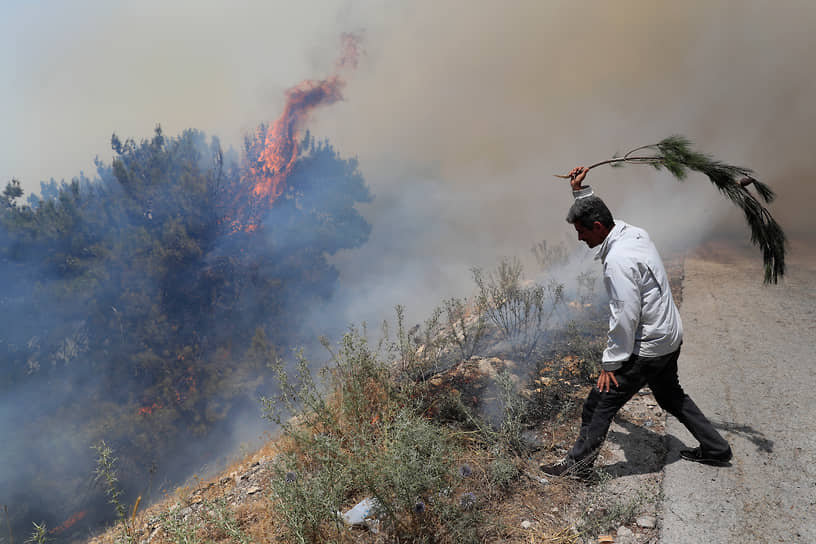Ливан. Лесной пожар в северной провинции Аккар