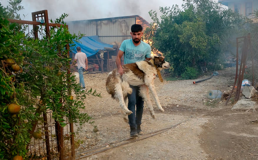 Мужчина несет на руках собаку, которую спас из горящего дома 