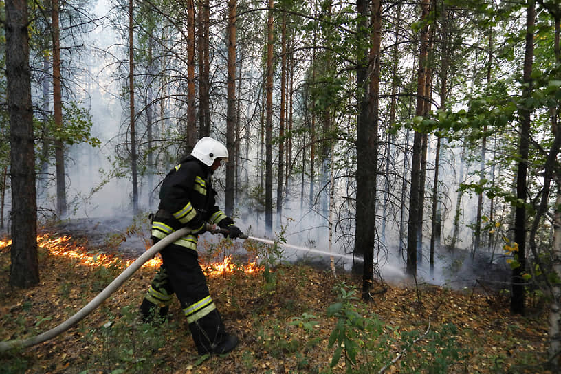 Тушение лесного пожара в окрестностях горы Волчихи
