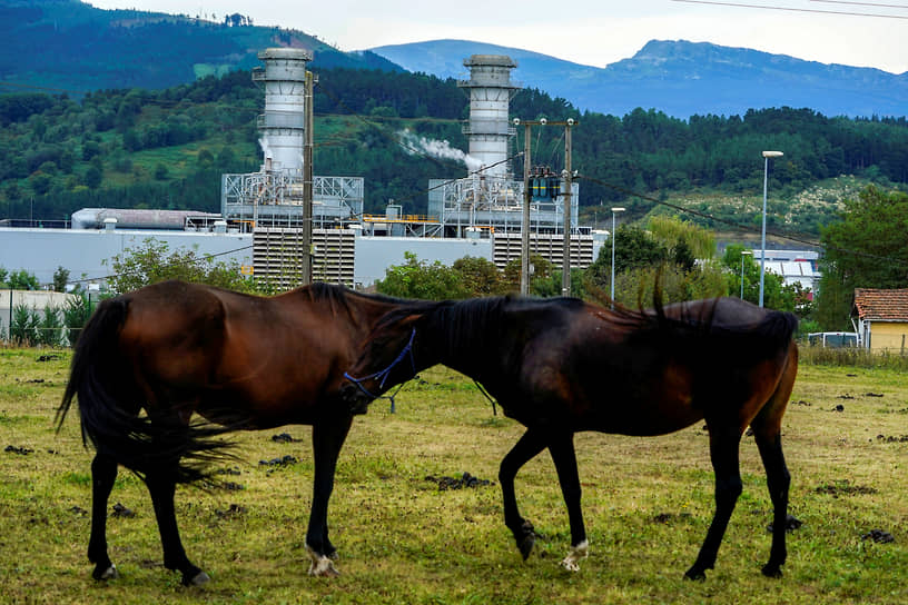 Аморебьете, Испания. Лошади в поле на фоне газотурбинной электростанции