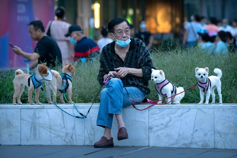 Пекин, Китай. Местный житель выгуливает своих собак 