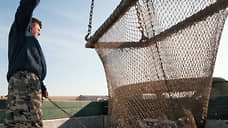 Рыбакам пополнят сети