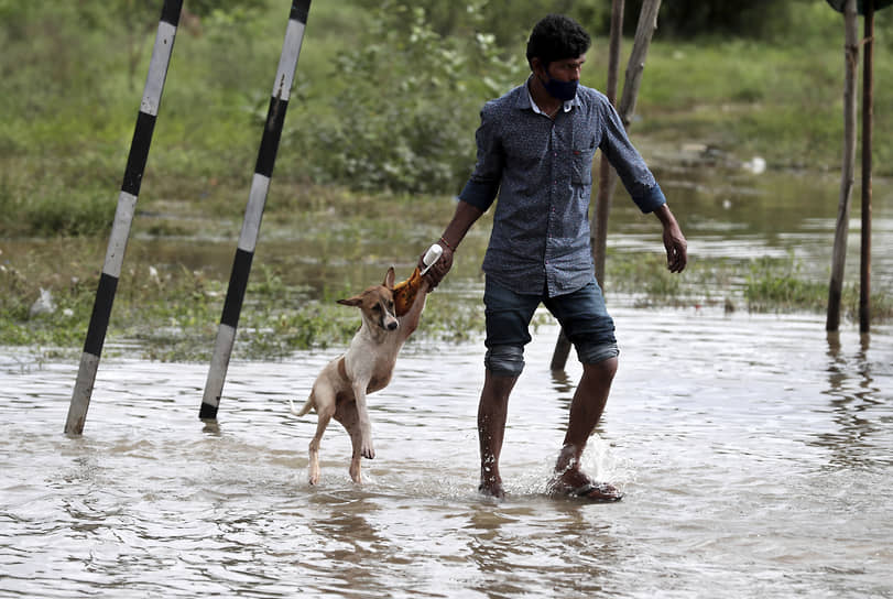 Бангалор, Индия. Мужчина помогает собаке перейти улицу, затопленную после сильных дождей 