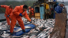 Рыбаки разводят сети